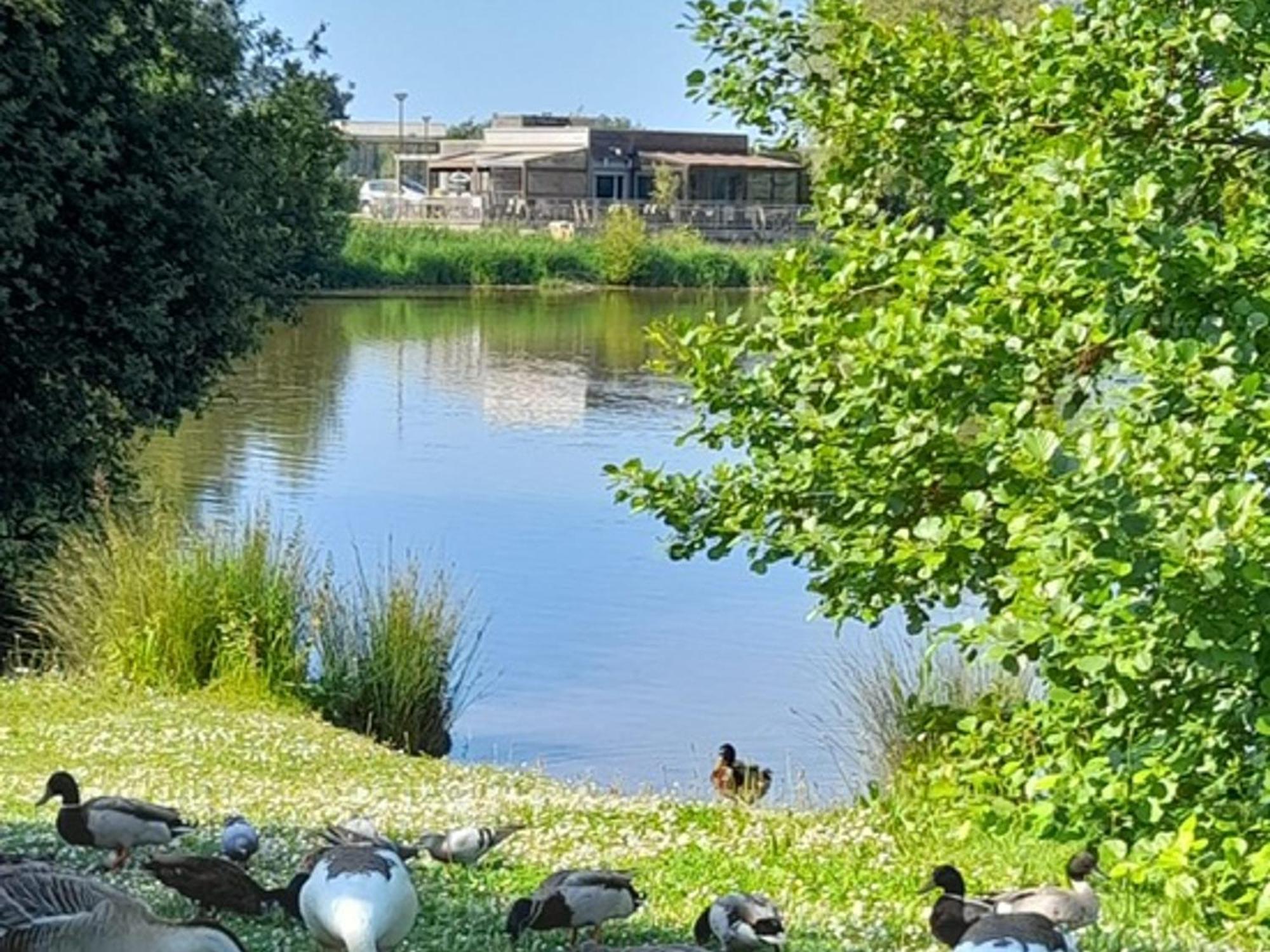 Appartement Refait A Neuf Avec Loggia Et Parking, A 2 Pas De La Plage Et Des Commerces - Fr-1-712-7 Villers-sur-Mer Exteriér fotografie